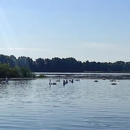 Apartment Am Olbasee Malschwitz