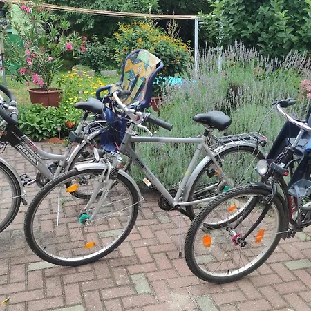 Am Olbasee * Malschwitz